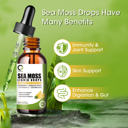 Sea Moss Liquid Drops-Pineapple Flavor