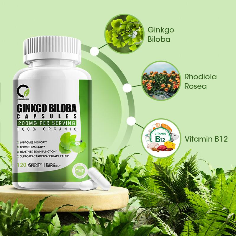 Ginkgo Biloba 200MG Organic Vegetarian Capsules Dietary Supplement