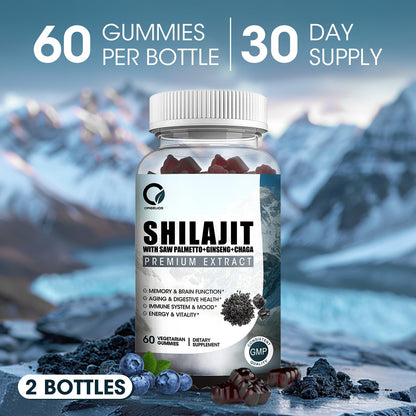 2 Packs Pure Himalayan Organic Shilajit Gummies