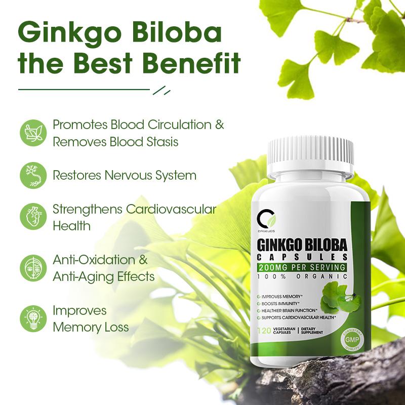 Ginkgo Biloba 200MG Organic Vegetarian Capsules Dietary Supplement