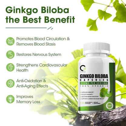 Ginkgo Biloba 200MG Organic Vegetarian Capsules Dietary Supplement