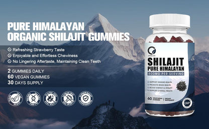 Pure Himalayan Organic Shilajit Gummies